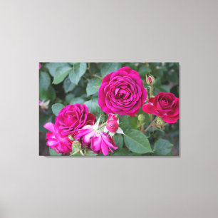 Rose Jardin toile étirée Imprimer