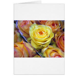 Rose jaune et orange