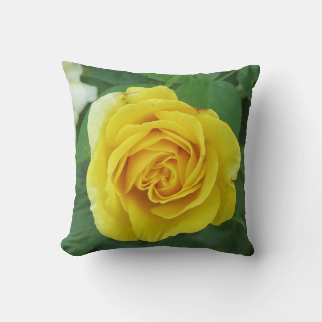 Rose Jaune Photo Coussin Nature Amateurs Gardeners (Recto)