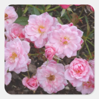Rose Jeanne LaJoie Stickers #1-2