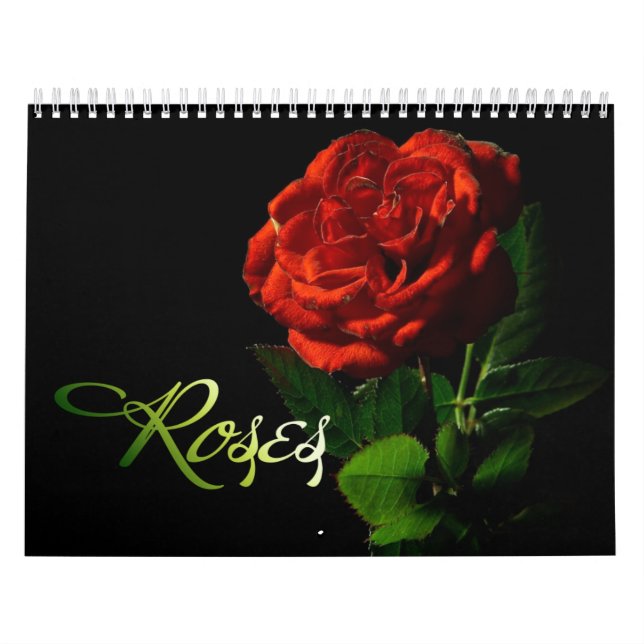 Rose Kalender (Titelbild)