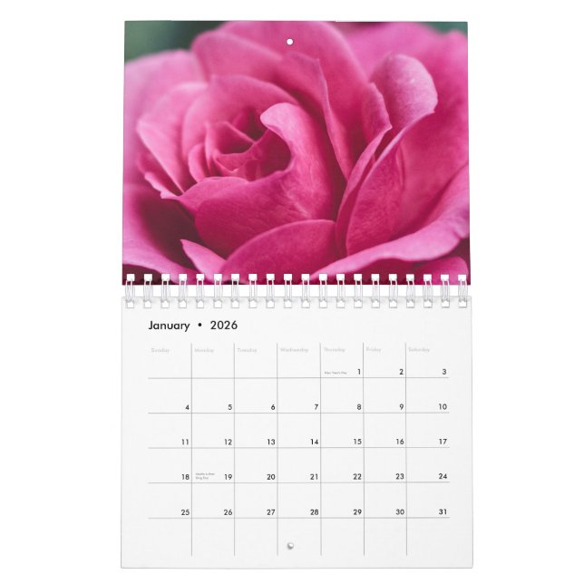 Rose Kalender (Jan 2026)