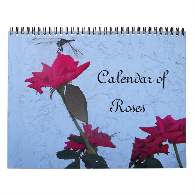 Rose Kalender (Titelbild)