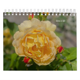 Rose Kalender