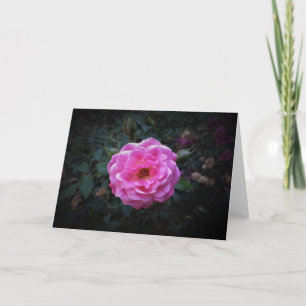 Rose, Karte