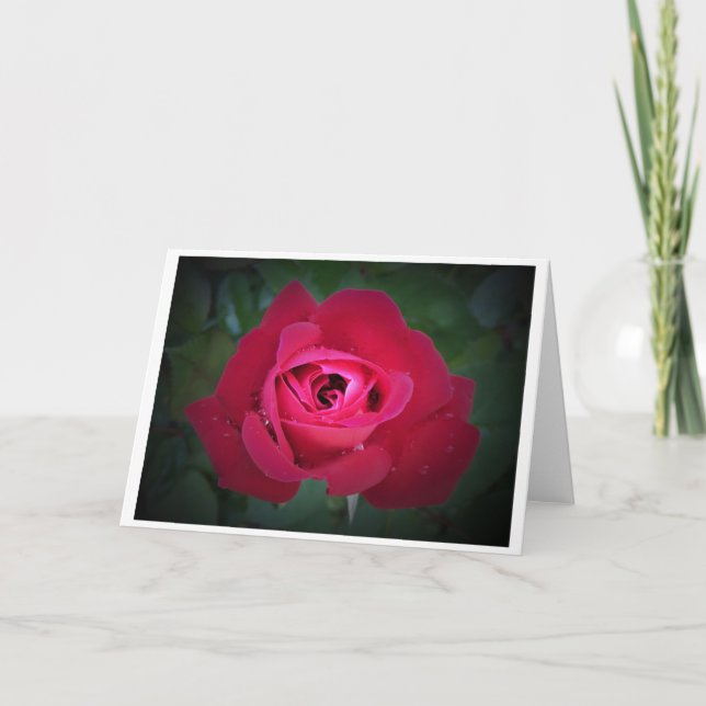 Rose, Karte (Vorderseite)