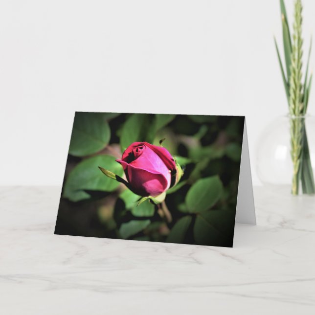 Rose, Karte (Vorderseite)