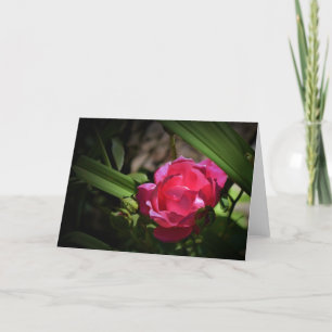 Rose, Karte
