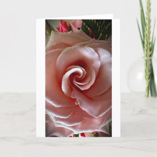 Rose, Karte
