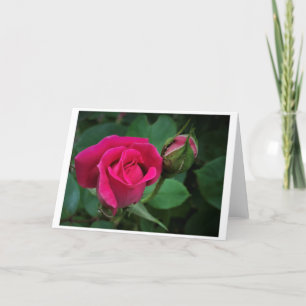 Rose, Karte
