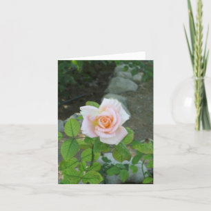 Rose Karte