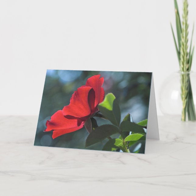 Rose Karte (Vorderseite)