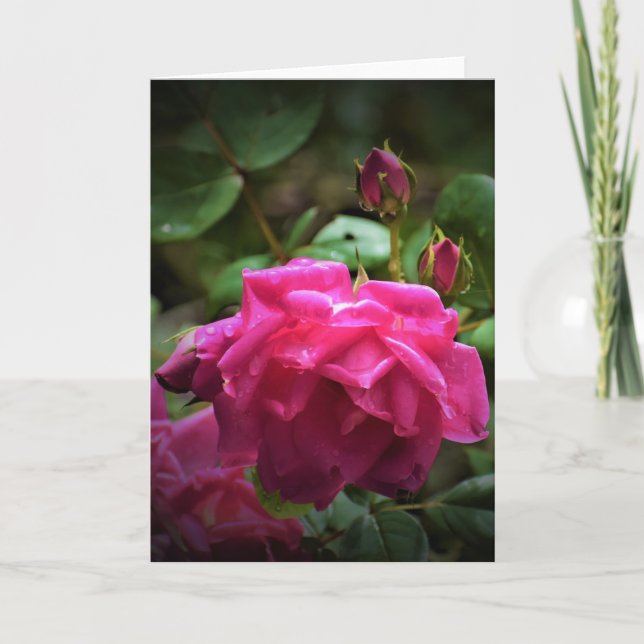 Rose, Karte (Vorderseite)