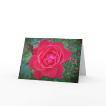 Rose, Karte