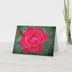 Rose, Karte