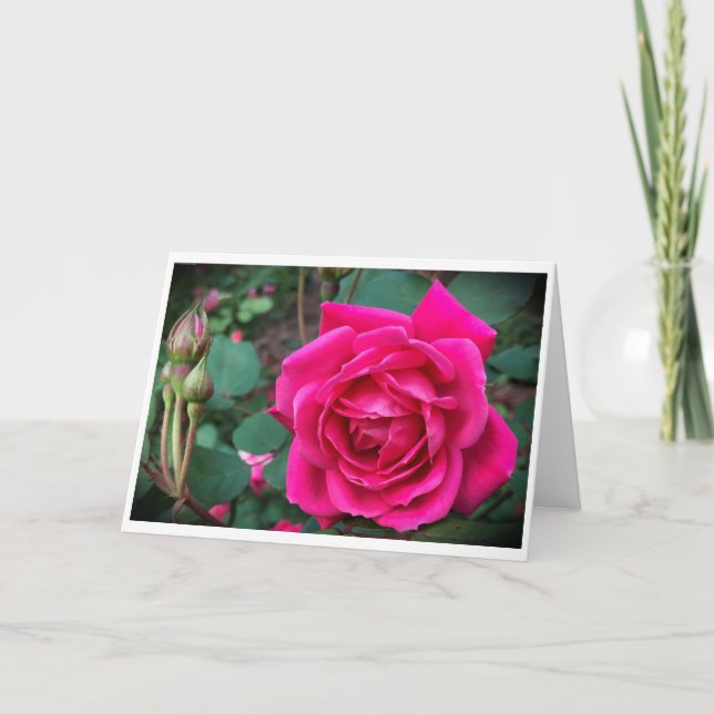 Rose, Karte (Vorderseite)