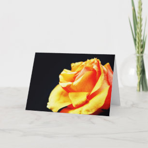 Rose Karte