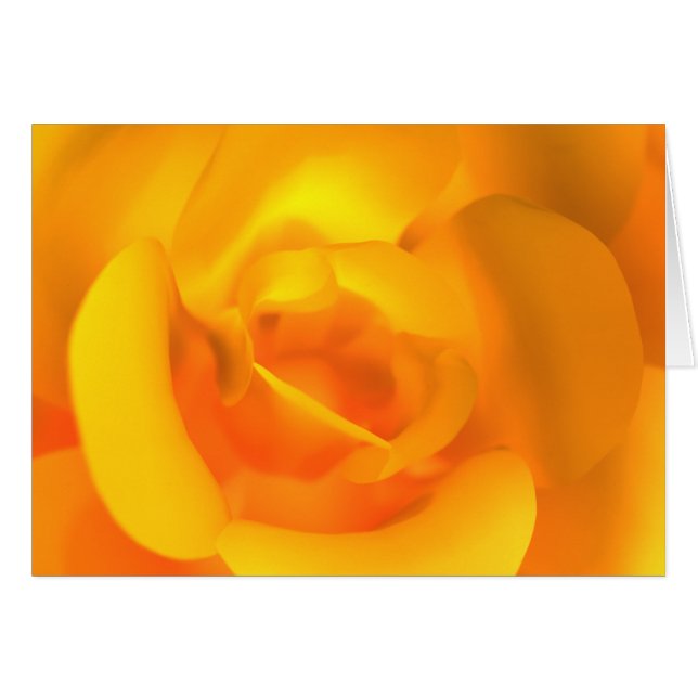 Rose-Karte (Vorderseite (Horizontal))