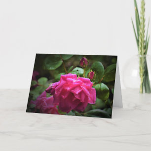 Rose, Karte