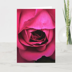 Rose, Karte
