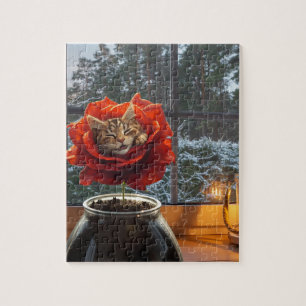 Rose Katzen Traum