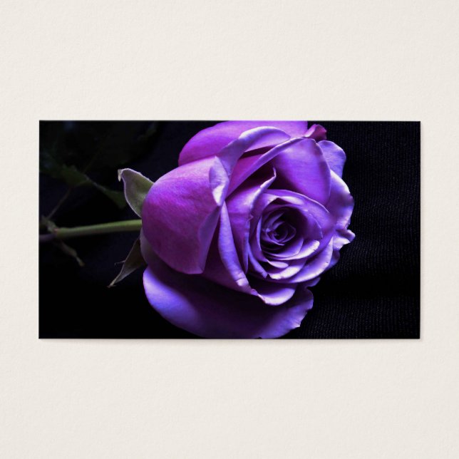 rose lavande (Devant)