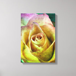 Rose Leinwand Kunst