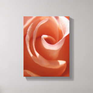 Rose-Leinwand Leinwanddruck