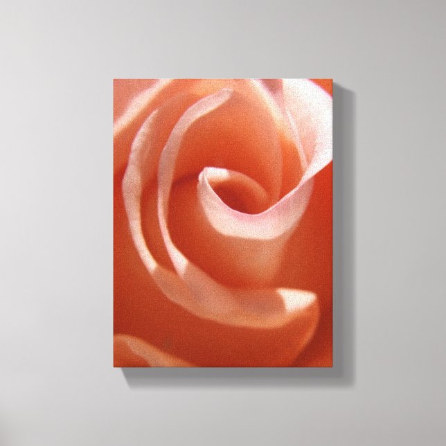 Rose-Leinwand Leinwanddruck (Vorderseite)