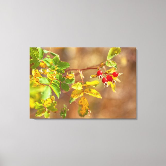 Rose Leinwanddruck (Vorderseite)