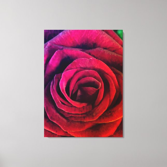 Rose Leinwanddruck (Vorderseite)