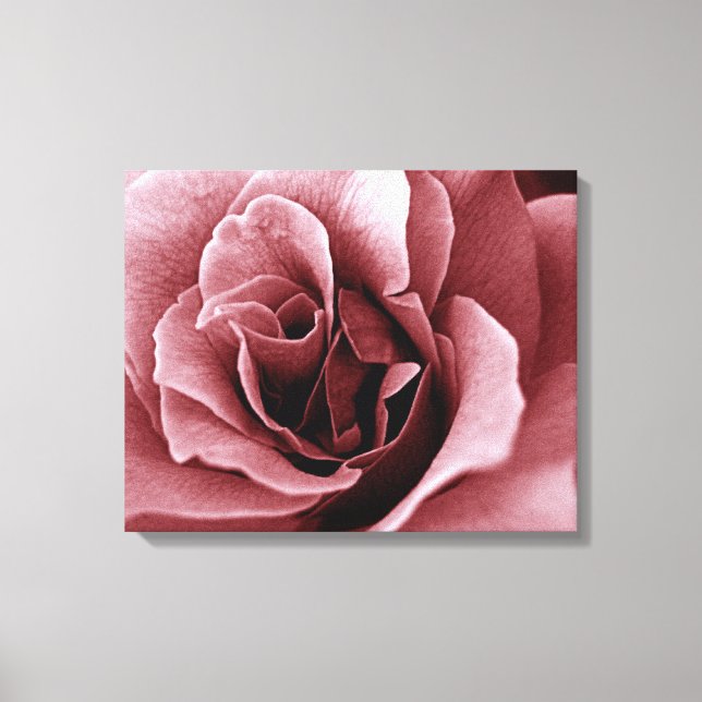 Rose Leinwanddruck (Vorderseite)