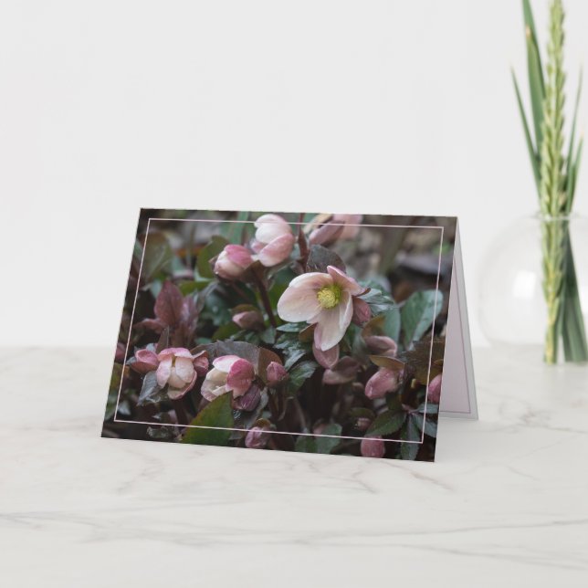 Rose Lenten für Mütter Karte (Vorderseite)