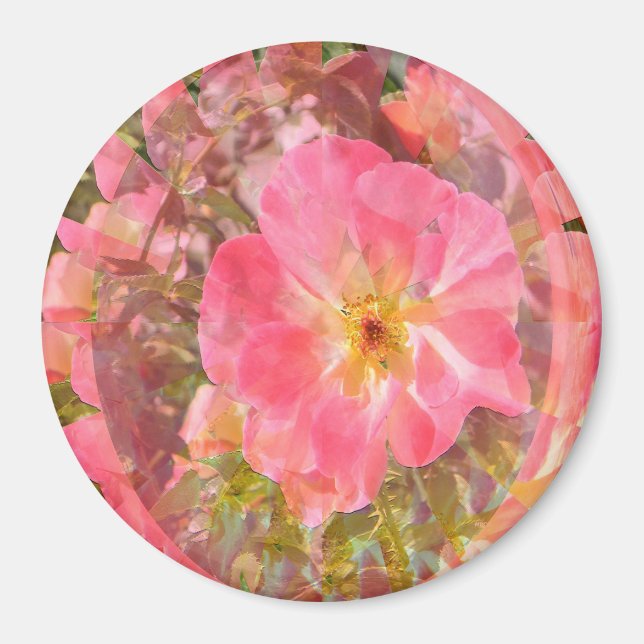 Rose Liebe....... Magnet (Vorne)