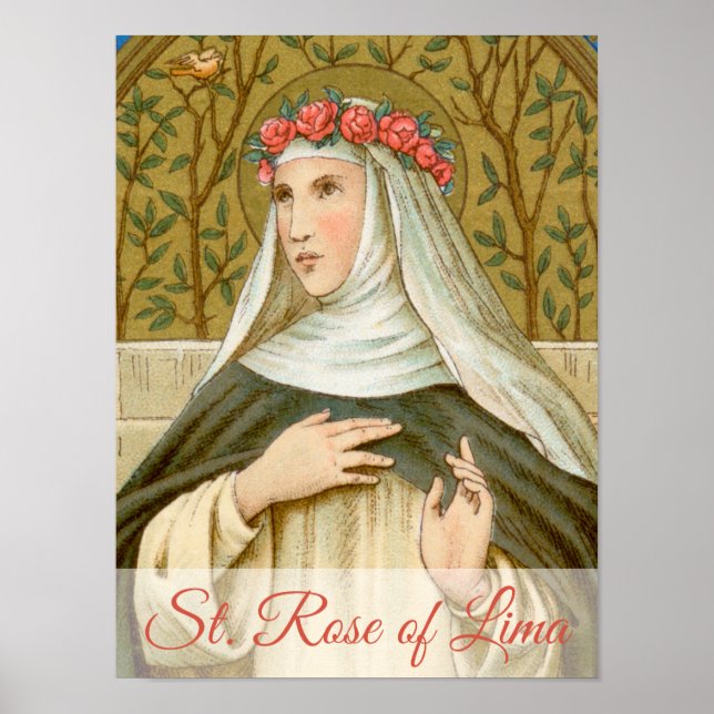 Rose Lima (BK 020) Poster (Vorne)