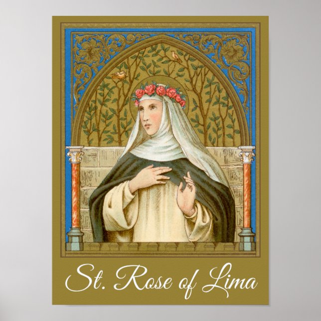 Rose Lima (BK 020) Poster (Vorne)