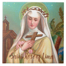 Rose Lima durch Nacht (M 024)