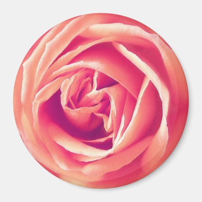 Rose Magnet (Vorne)