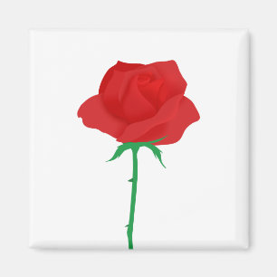 Rose Magnet