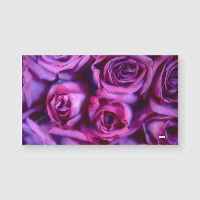 Rose Magnetkarte (Vorderseite)