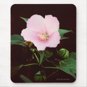 Rose Mallow Mousepad