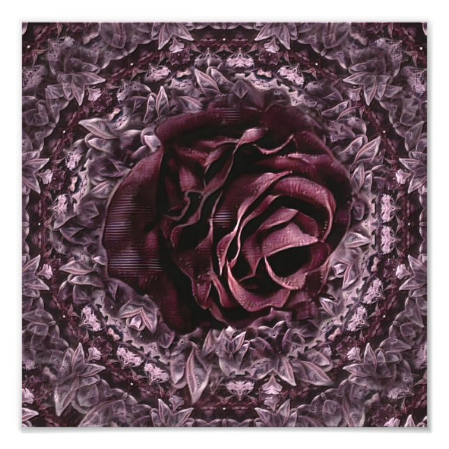 Rose Mandala Fotodruck (Vorne)