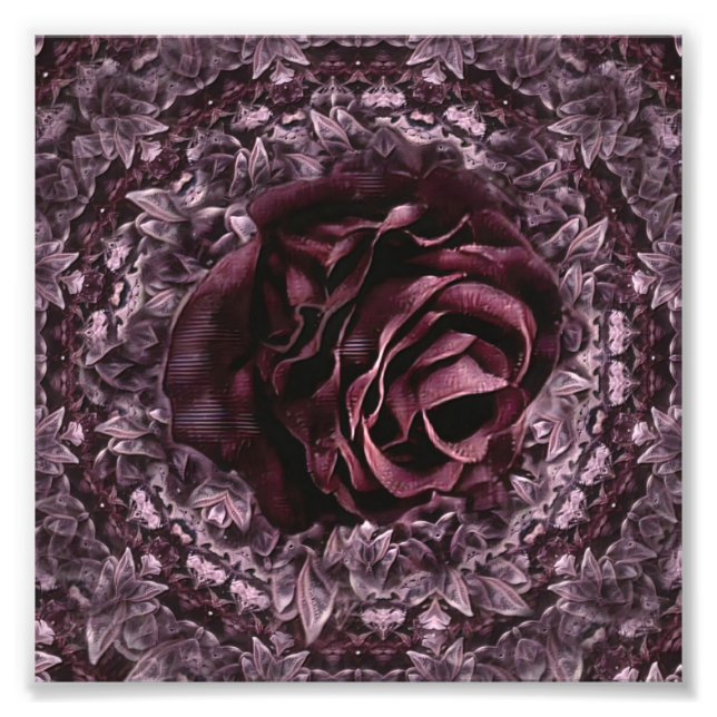 Rose Mandala Fotodruck (Vorne)