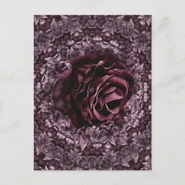 Rose Mandala Postkarte (Vorderseite)
