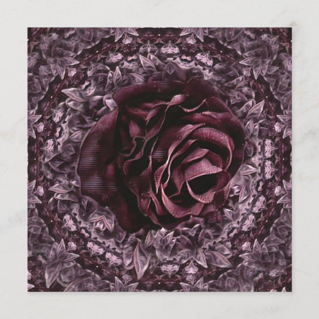 Rose Mandala Programm (Vorderseite)