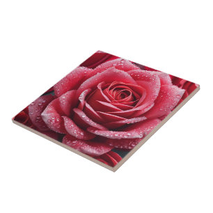 Rose Markieren Keramik Tiles : Fügen Sie Ihren Wän Fliese