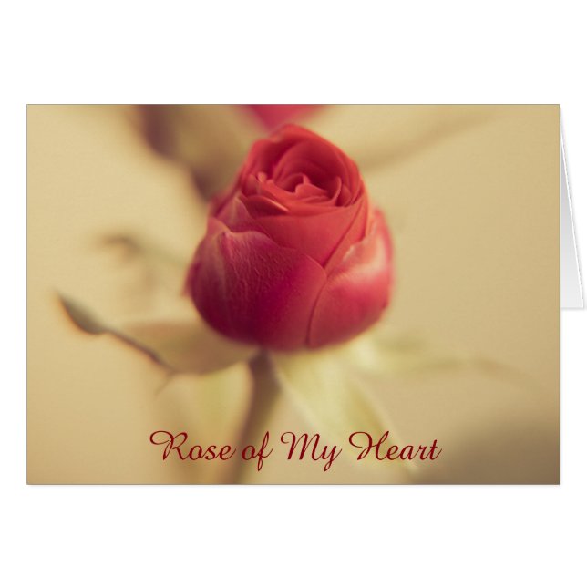 Rose meines Herzens (Vorderseite (Horizontal))