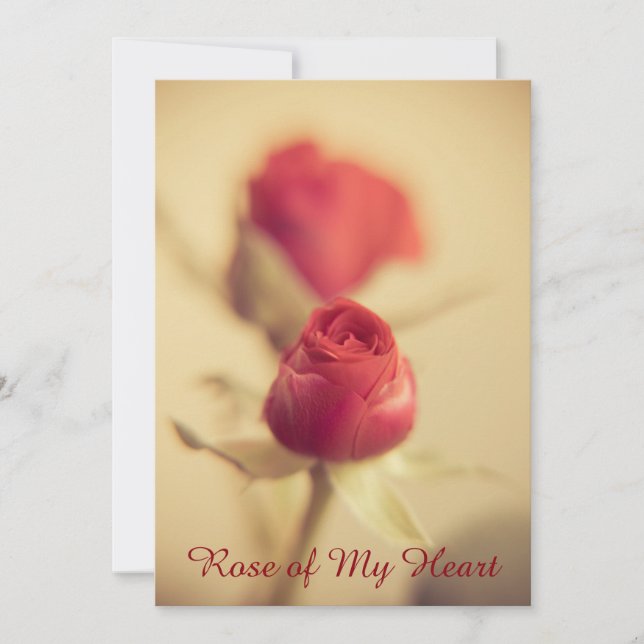 Rose meines Herzens (Vorderseite)