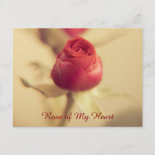 Rose meines Herzens Postkarte