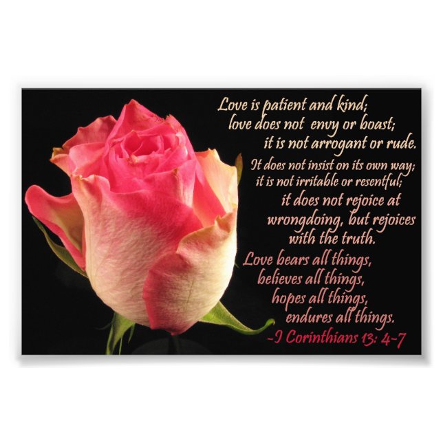 Rose mit I Cor. 13: 4-7 Fotodruck (Vorne)